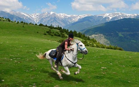 In The Saddle - Holidays on Horseback