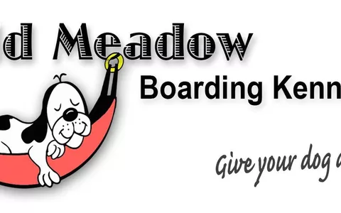 Wild Meadow Boarding Kennels