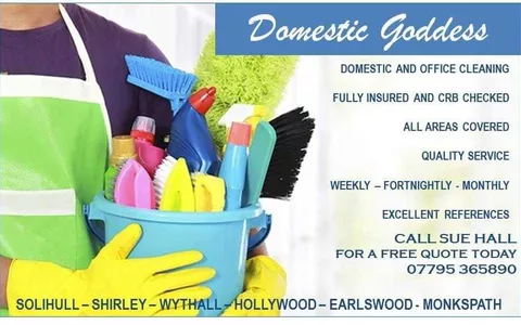 Domestic Goddess Home Services