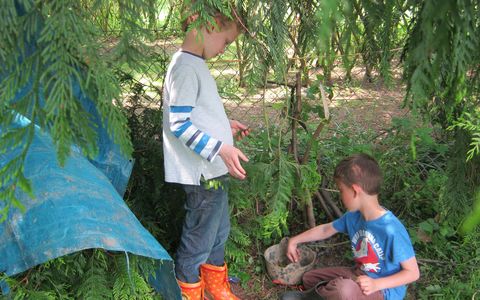 Bayton Primary School
